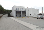 Fabryka, zakład na sprzedaż, Kopanica Winnice, 2405 m² | Morizon.pl | 8744 nr2