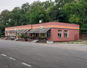 Lokal użytkowy na sprzedaż, Jakubowo, 339 m²