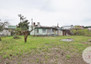 Morizon WP ogłoszenia | Działka na sprzedaż, Pecna Wąska, 600 m² | 3266