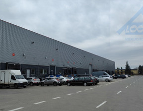 Magazyn, hala do wynajęcia, Warszawa Białołęka, 1210 m²