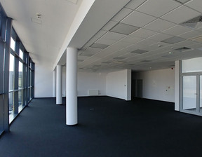 Biurowiec do wynajęcia, Jelonek Obornicka, 400 m²