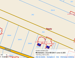 Morizon WP ogłoszenia | Działka na sprzedaż, Reguły Regulska, 2900 m² | 2112