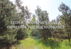 Morizon WP ogłoszenia | Działka na sprzedaż, Kusięta, 21309 m² | 0155