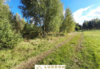 Morizon WP ogłoszenia | Działka na sprzedaż, Dziechciniec, 10519 m² | 1235