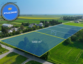 Działka na sprzedaż, Pawlin, 5000 m²