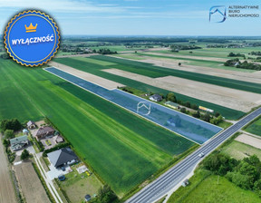 Działka na sprzedaż, Zofiówka, 17900 m²