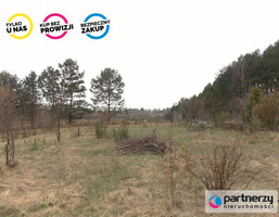 Morizon WP ogłoszenia | Działka na sprzedaż, Banino Borowiecka, 6212 m² | 3427