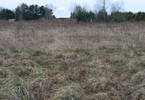 Morizon WP ogłoszenia | Działka na sprzedaż, Radziwiłłów, 1000 m² | 5299