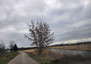 Morizon WP ogłoszenia | Działka na sprzedaż, Podkampinos, 1084 m² | 7896