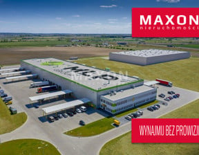 Magazyn do wynajęcia, Dąbrówka ul. Polna, 30240 m²