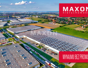 Magazyn do wynajęcia, Bielany Wrocławskie ul. Logistyczna, 35818 m²