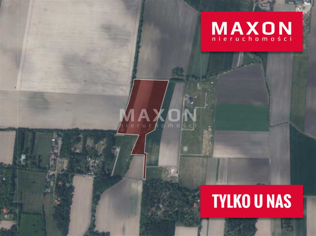 Morizon WP ogłoszenia | Działka na sprzedaż, Cholewy, 29257 m² | 9052