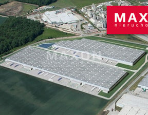 Magazyn do wynajęcia, Bielany Wrocławskie ul. Logistyczna, 2700 m²