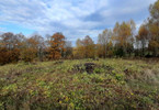 Morizon WP ogłoszenia | Działka na sprzedaż, Przodkowo, 3440 m² | 4089