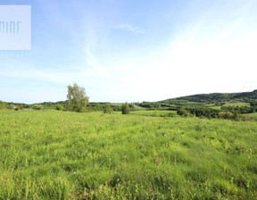 Działka na sprzedaż, Zwiernik, 6567 m²