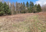 Morizon WP ogłoszenia | Działka na sprzedaż, Wyględy, 1410 m² | 8367