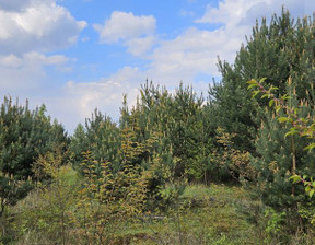 Działka na sprzedaż, Żelechów, 1000 m²