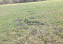 Morizon WP ogłoszenia | Działka na sprzedaż, Kampinos, 2000 m² | 6004