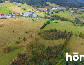 Działka na sprzedaż, Duszniki-Zdrój Zieleniec, 4300 m²