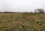 Morizon WP ogłoszenia | Działka na sprzedaż, Baranów, 13719 m² | 7060