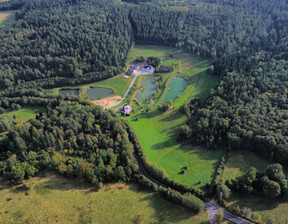 Działka na sprzedaż, Świeradów-Zdrój Zacisze, 70000 m²