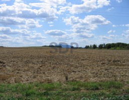 Morizon WP ogłoszenia | Działka na sprzedaż, Kąty Wrocławskie Gliniana, 4800 m² | 6559