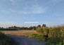 Morizon WP ogłoszenia | Działka na sprzedaż, Wołowice, 2500 m² | 5769