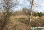 Morizon WP ogłoszenia | Działka na sprzedaż, Zator, 3400 m² | 2676