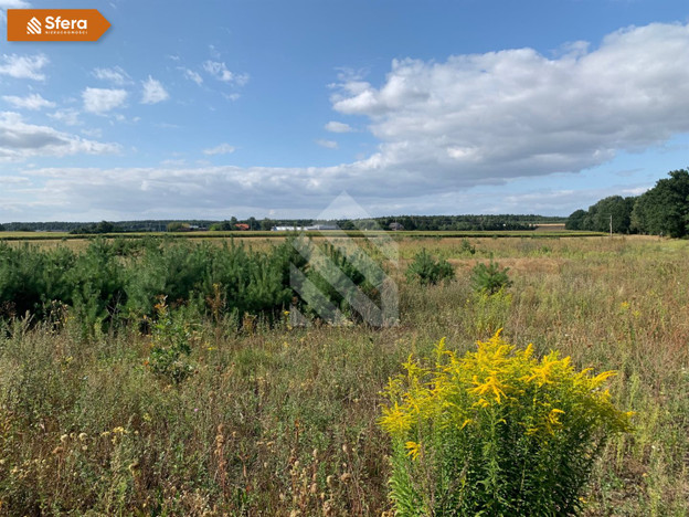 Morizon WP ogłoszenia | Działka na sprzedaż, Wilcze, 1123 m² | 8197