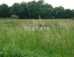 Morizon WP ogłoszenia | Działka na sprzedaż, Zachowice, 4800 m² | 8051
