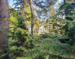Morizon WP ogłoszenia | Działka na sprzedaż, Józefów Borsucza, 2415 m² | 0448