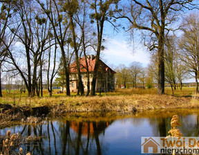 Obiekt na sprzedaż, Drołtowice Parkowa, 541 m²