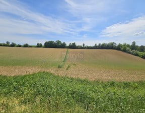 Działka na sprzedaż, Michałowice, 7800 m²