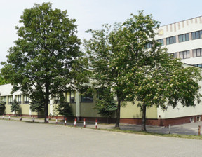 Biuro do wynajęcia, Sieradz Adama Mickiewicza, 16 m²