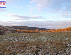 Działka na sprzedaż, Wapienne, 9700 m²