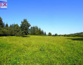 Działka na sprzedaż, Bednarka, 2930 m²