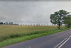 Morizon WP ogłoszenia | Działka na sprzedaż, Będlewo, 16600 m² | 1663