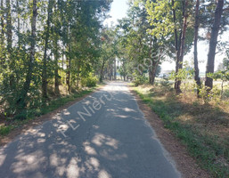 Morizon WP ogłoszenia | Działka na sprzedaż, Olszewice, 3930 m² | 7083