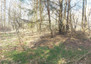 Morizon WP ogłoszenia | Działka na sprzedaż, Stanisławów, 7600 m² | 7991