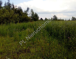 Morizon WP ogłoszenia | Działka na sprzedaż, Cisówka, 3200 m² | 9252