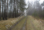 Morizon WP ogłoszenia | Działka na sprzedaż, Łaziska, 18300 m² | 8635