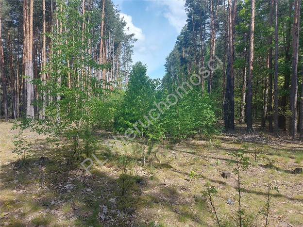 Morizon WP ogłoszenia | Działka na sprzedaż, Strugi Krzywickie, 9500 m² | 4405