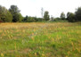 Morizon WP ogłoszenia | Działka na sprzedaż, Gągolina, 3010 m² | 4653
