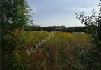 Morizon WP ogłoszenia | Działka na sprzedaż, Mlęcin, 1101 m² | 7500