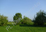 Morizon WP ogłoszenia | Działka na sprzedaż, Kraśnicza Wola, 5500 m² | 5713