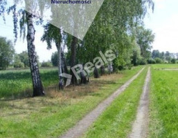 Morizon WP ogłoszenia | Działka na sprzedaż, Różanów, 60000 m² | 2645