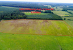 Morizon WP ogłoszenia | Działka na sprzedaż, Kalitnik, 3000 m² | 0056