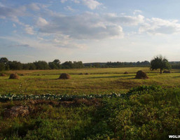 Morizon WP ogłoszenia | Działka na sprzedaż, Podłęcze, 3553 m² | 9463