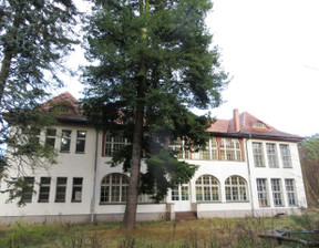 Dom na sprzedaż, Puszczykowo, 980 m²