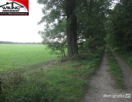 Morizon WP ogłoszenia | Działka na sprzedaż, Swarzędz, 10000 m² | 4923